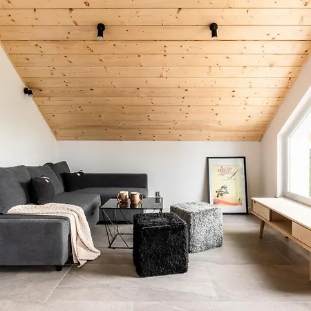 10 Active Apartment Szczyrk