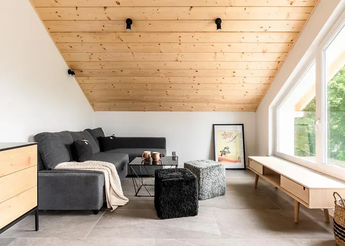 10 Active Apartment Szczyrk